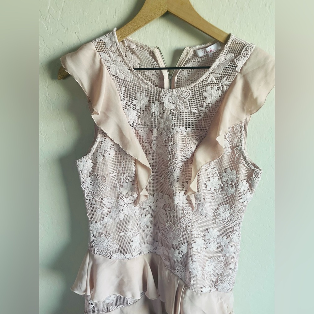 Parker Gabriel Lace Blush Ruffle Mini Dress Sz 10
Coquette Romantic Floral - Picture 5 of 8
